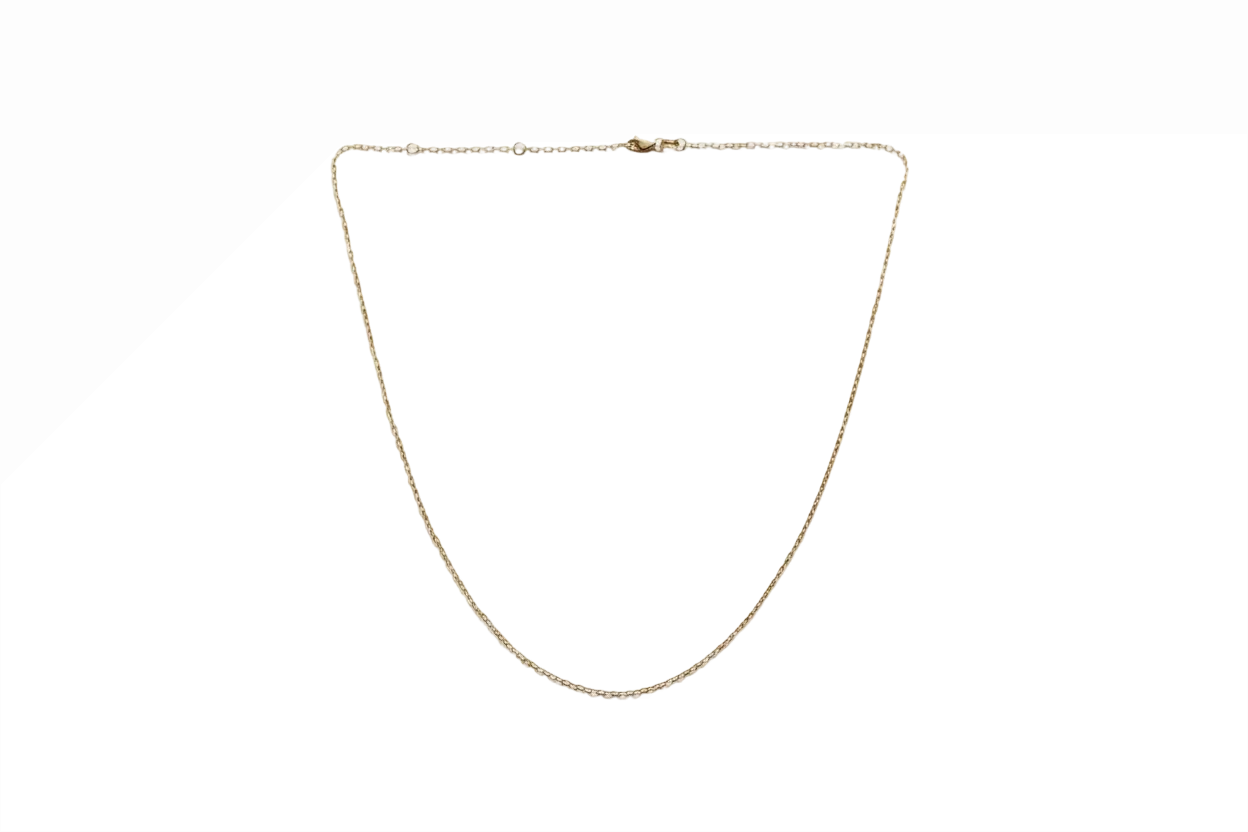 14K Gold Adjustable Chain - White Background