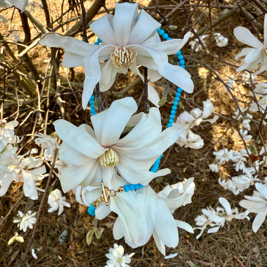 Sleeping Beauty Turquoise Necklace
