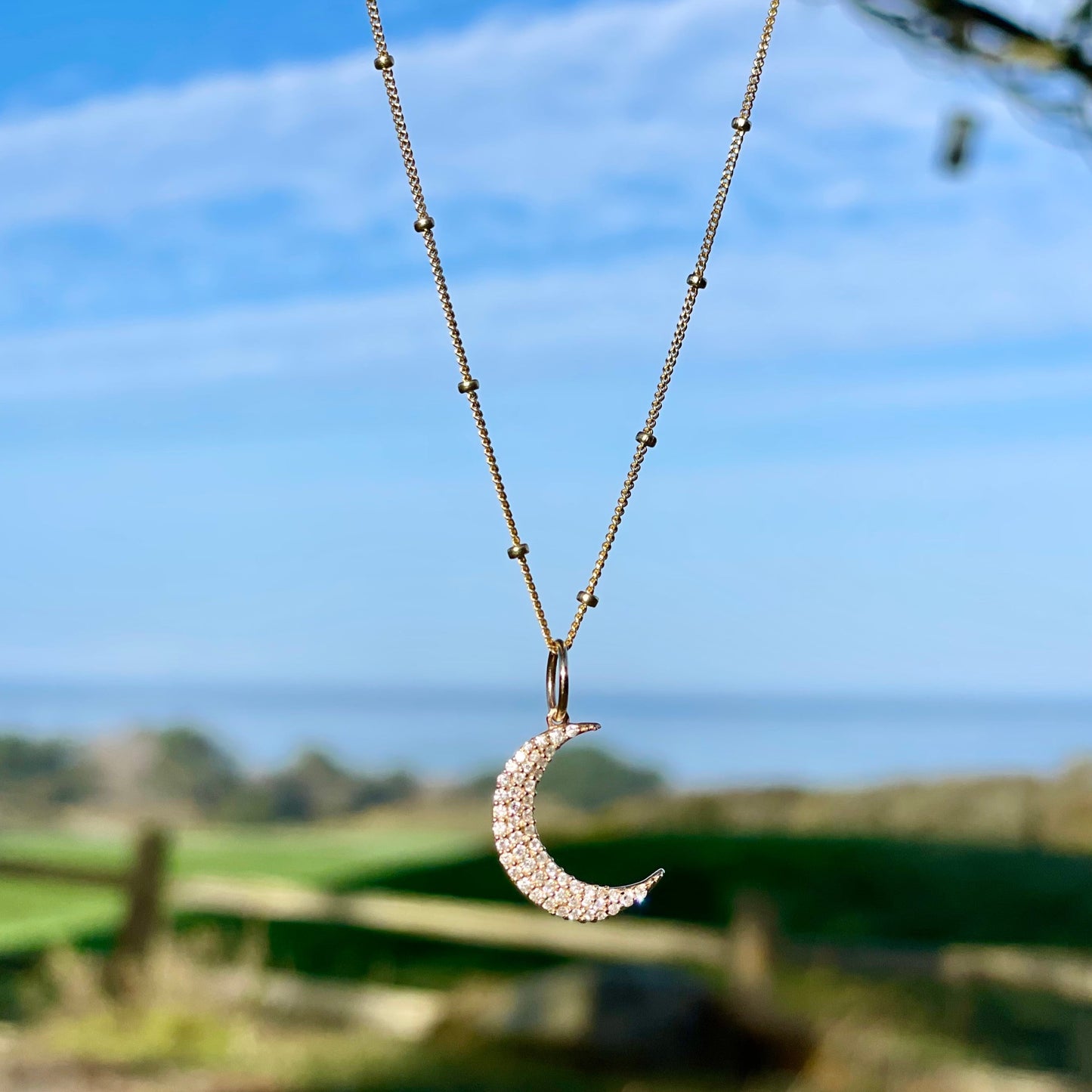 Crescent Moon