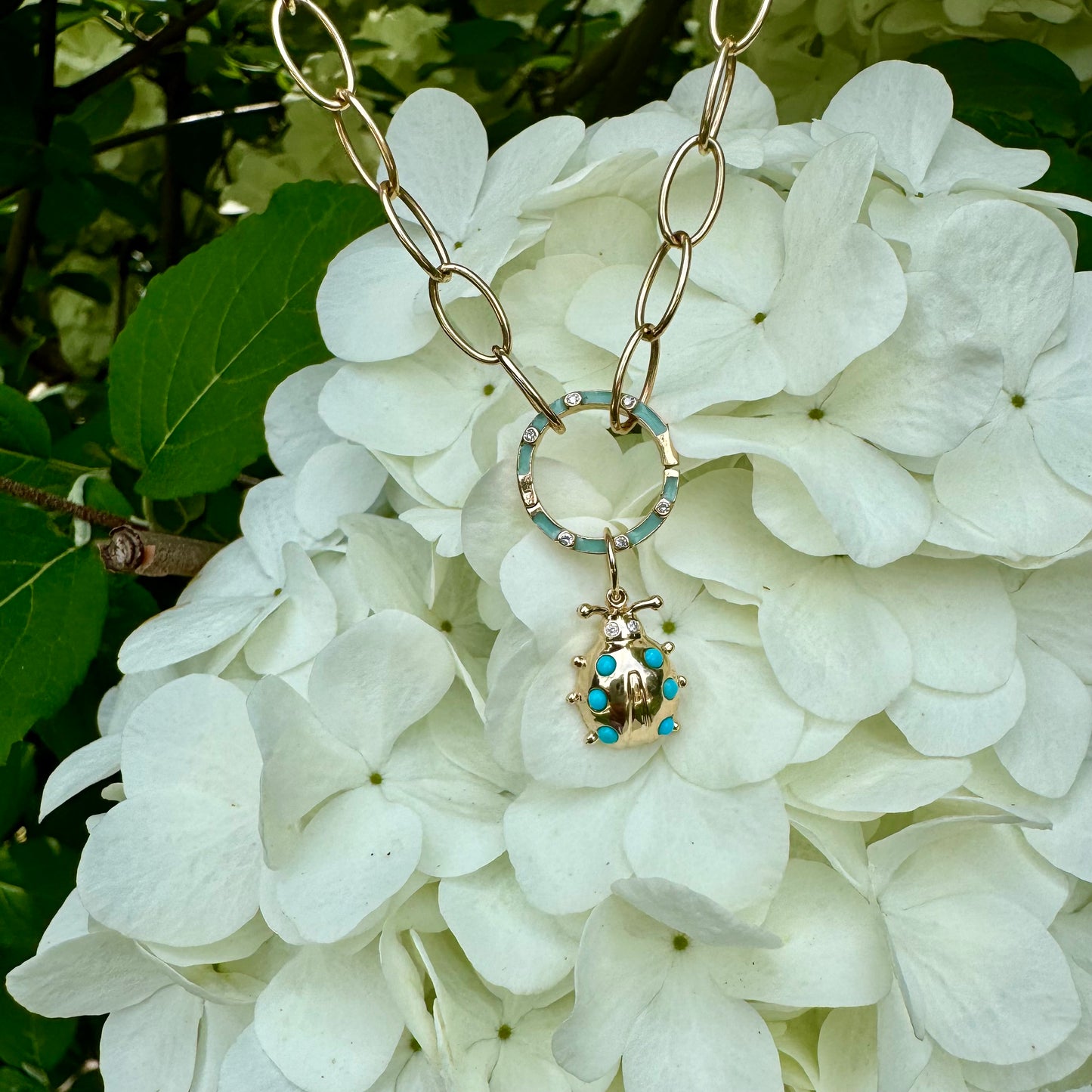 Turquoise Ladybug