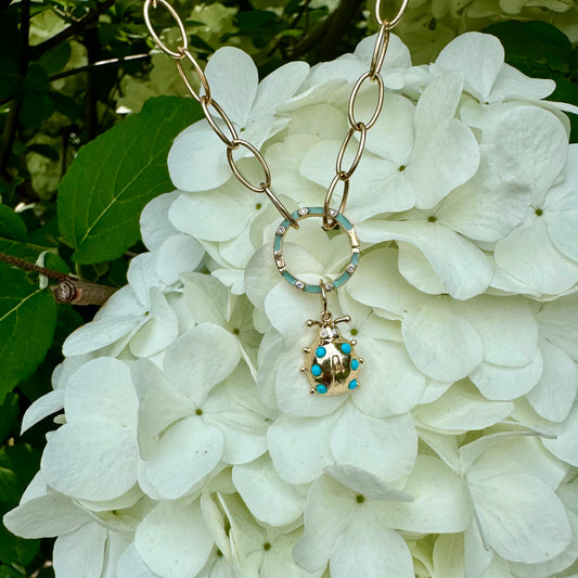 Turquoise Ladybug