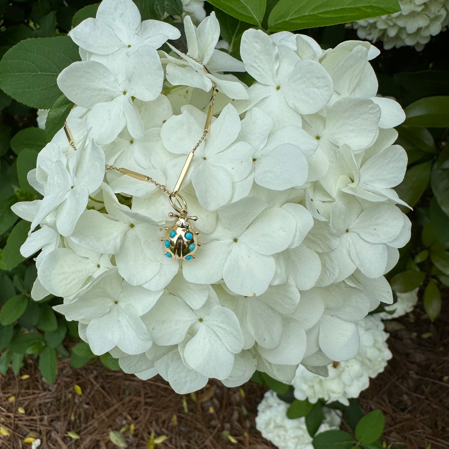 Turquoise Ladybug