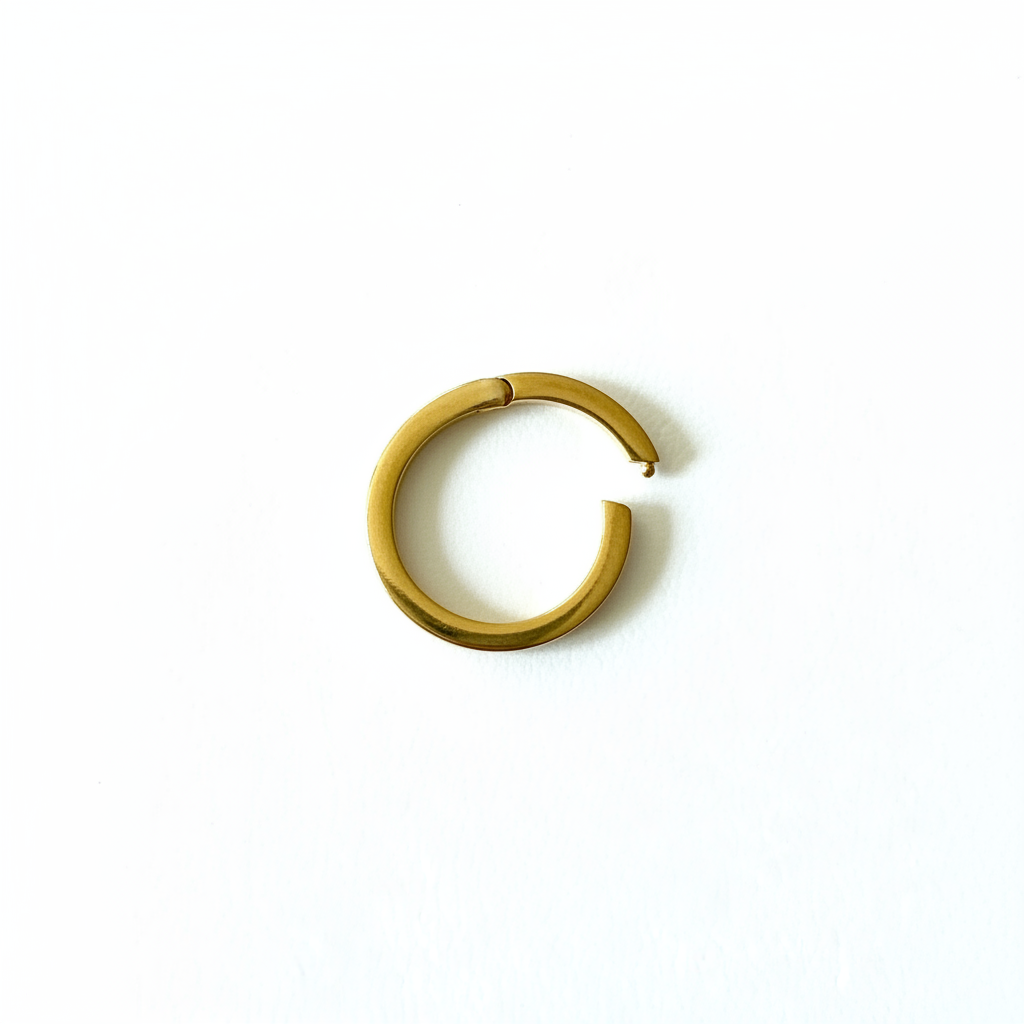 Gold vermeil large C-clasp white background